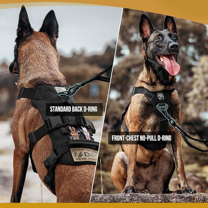 OneTigris Escape Proof Dog Harness, No Pull Dog Harness with Handles, Tactical Multi-Use Support Dogs Harnes for Large Dogs Everyday Wear Walking Hiking Training (Black, X-Large)