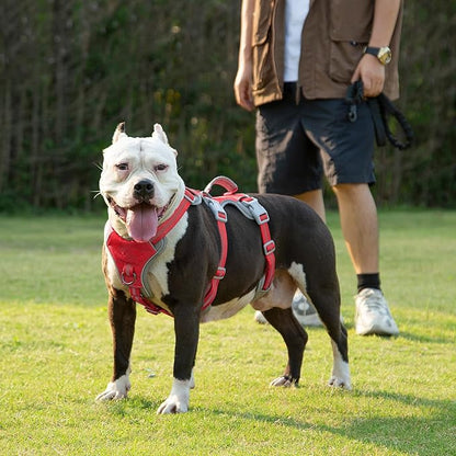 Huntboo Escape Proof Dog Harness, Escape Artist Harness, Reflective Harness with Padded Handle, Breathable, Durable, Adjustable Vest for Medium Dogs Walking, Training, and Running Gear (Red, S)