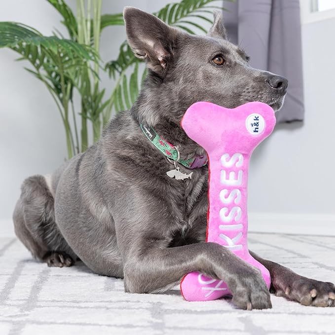 Huxley & Kent Funny Dog Toy w/Squeaker – Power Plush Squeaky Dog Toys for Small, Medium & Large Dogs – Soft Stuffed Animal for Indoor Play & Fetch - Fetchies® Love Bug, One Size
