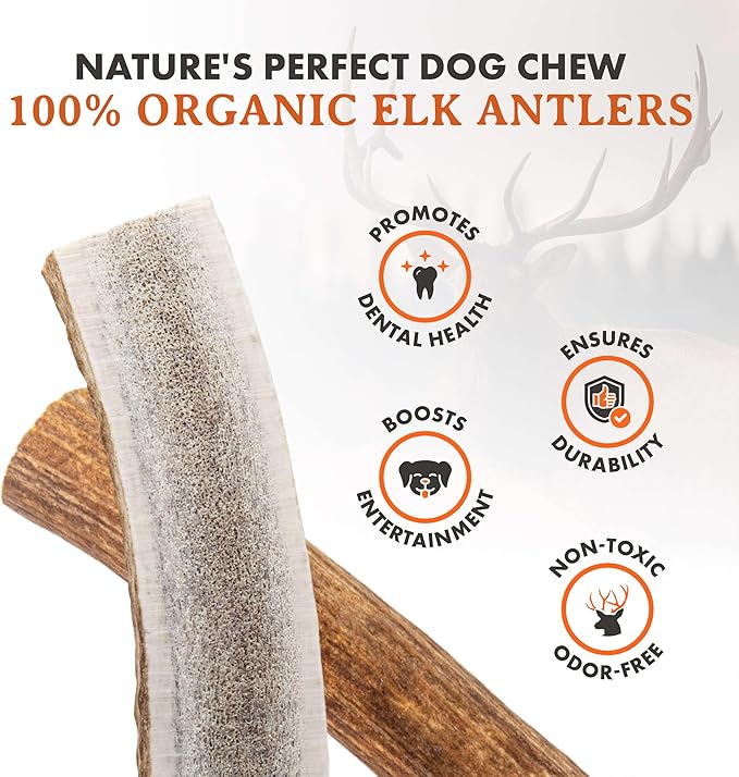 Alpha Dog Nutrition Elk Antler Chews (Large, Split)