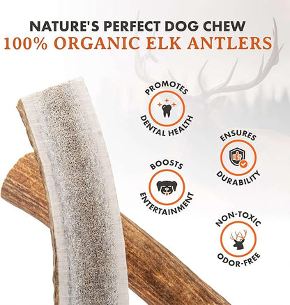 Alpha Dog Nutrition Elk Antler Chews (Large, Split)