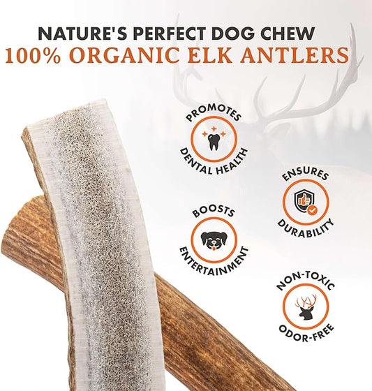 Alpha Dog Nutrition Elk Antler Chews (Large, Split)