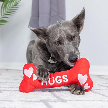 Huxley & Kent Funny Dog Toy w/Squeaker – Power Plush Squeaky Dog Toys for Small, Medium & Large Dogs – Soft Stuffed Animal for Indoor Play & Fetch - Fetchies® Love Bug, One Size