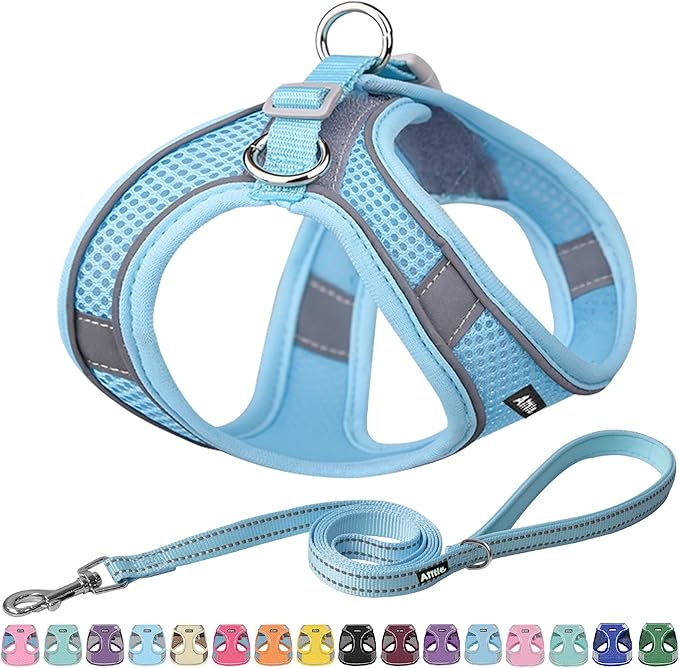 AIITLE Small Harness for Puppy with A Leash - Dog Vest Harness with Super Breathable Mesh, Reflective No-Pull Pet Harness for Outdoor Walking, Running for Small Dogs, Cats Pure Blue XXS