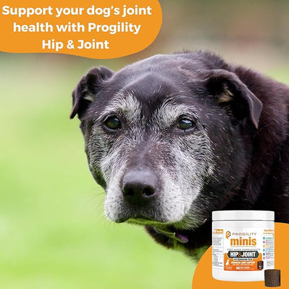 Progility Mini Hip & Joint Supplement for Small to Medium Dogs – Daily Mobility & Joint Support with Glucosamine, Chondroitin & MSM, Soft Chews (60 Count)
