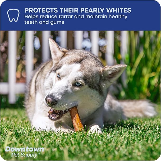 Downtown Pet Supply Jumbo Bully Sticks for Dogs - Natural Beef Chews, Low-Odor & Rawhide-Free, Long Lasting Dog Treats for Aggressive Chewers - Healthy, Safe & Delicious Chews Dogs Love (12" 24 Pack)