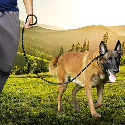 Reflective Slip Leads for Dogs 6FT, Slip Lead Dog Leash, Slip On Training Leash