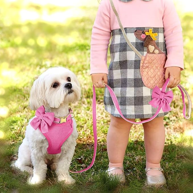 Didog Cute Small Dog Harness Collar and Leash Set with Bowtie, Breathable Soft Mesh Padded Puppy Harness, Dog Harness for Small Dogs Daily Walks Parties, Holiday Gatherings & Gifts, Hot Pink, S