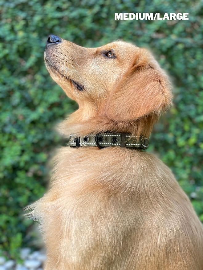 Tuff Pupper Heavy Duty Dog Collar with Handle | Ballistic Nylon Heavy Duty Collar | Padded Reflective Dog Collar with Adjustable Stainless Steel Hardware | Convenient Sizing for All Breeds