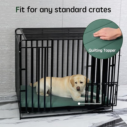 BALANCE Dog Crate Bed, Orthopedic Dog Bed Pad with Waterproof Liner, Washable Crate Foam Pet Mat for Large, Medium, Puppy Dogs Breeds, Mint Leaf, 36“x23”x1.6“