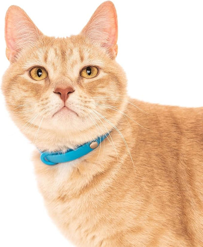 Nuvuq Breakaway Cat Collar - Soft, Comfortable, and Lightweight Safety Buckle Collar with ID Tag Ring for Outdoor Cats and Sensitive Skin Kittens (6 ⅞" to 10 ¼", Blue)