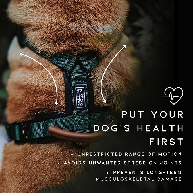 MADE TO ROAM Premium Explorer Harness - Y-Shaped Dog Harness with Adjustable Durable Nylon, Soft Padding, Metal Buckles and Leather Handle for Small, Medium, Large Dogs (Carolina Blooms, Size 2)