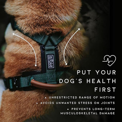 MADE TO ROAM Premium Explorer Harness - Y-Shaped Dog Harness with Adjustable Durable Nylon, Soft Padding, Metal Buckles and Leather Handle for Small, Medium, Large Dogs (Alaska Daybreak, Size 7)