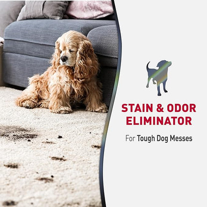 Nature’s Miracle Advanced Stain and Odor Eliminator Dog Spray, Fresh Scent, Severe Mess Enzymatic Formula For Tough Pet Messes, 32 Ounces