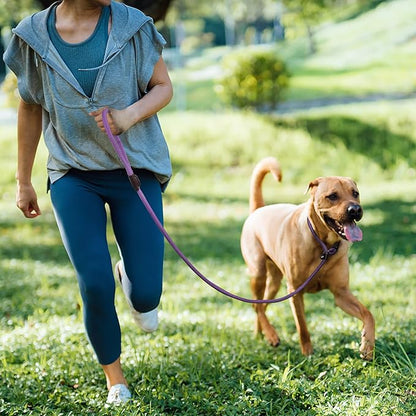 TwoEar 6FT Slip Lead Dog Leash, Heavy Duty Slip Leash for Dogs with Highly Reflective, Strong Rope Slip Leads No Pull Pet Training Leashes for Large Medium Dogs (1/2", Purple)