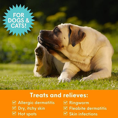 Nootie Medicated Pet Shampoo, Chlorhexidine Dog Shampoo for Itch Relief, Sold in over 5,000 Vet Clinics & Pet Stores Worldwide- 16oz