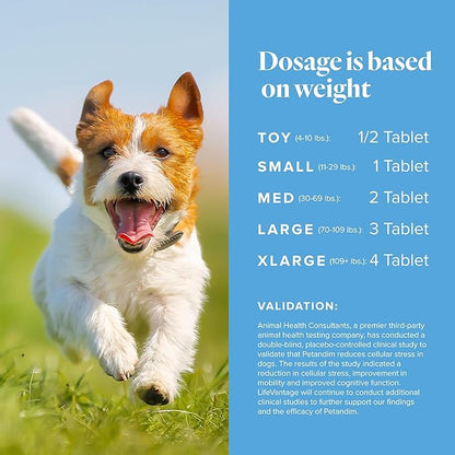Petandim Dog Vitamins (30 Chewable Tablets), Antioxidants Reduce Oxidative Stress, Joint Supplement for Dogs, Skin and Coat Supplement, Omega-3 & Collagen for Dogs, Chicken + Bacon Flavor