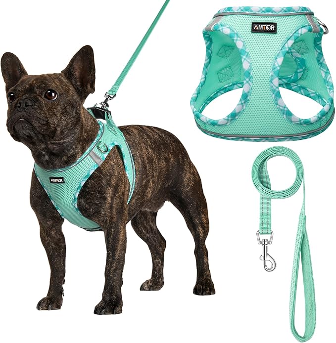 AMTOR Small Dog Harness with Leash Set, No Escape Easy Walk Puppy Harnesses for Training Walking, Step-in Reflective Soft Dogs Vest for XS S Medium Extra-Small Large Sized Dog(Green,XL)