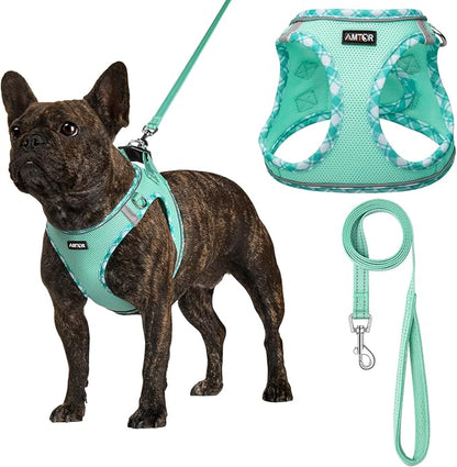 AMTOR Small Dog Harness with Leash Set, No Escape Easy Walk Puppy Harnesses for Training Walking, Step-in Reflective Soft Dogs Vest for XS S Medium Extra-Small Large Sized Dog(Green,XL)