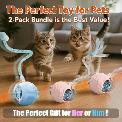 2-Pack Interactive Cat Ball Toys – Pink & Blue Combo – Automatic Rolling Balls with Long Tail & Feather, 3-Modes & USB Rechargeable for Indoor Cats