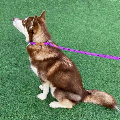 Heavy Duty Rope Dog Leash, No Pull Training Lead with Reflective Thread, Strong Comfortable Loop - Purple Stripe, Large(1/2")