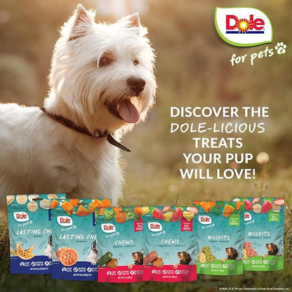 Dole for Pets Freshly Fetched Lasting Chew, Pumpkin Flavor Dog Treats, 8oz, 5ct | Flavored with Real Veggies, No Wheat, Corn, Soy, Artificial Flavors, Colors, Preservatives, or Animal Products