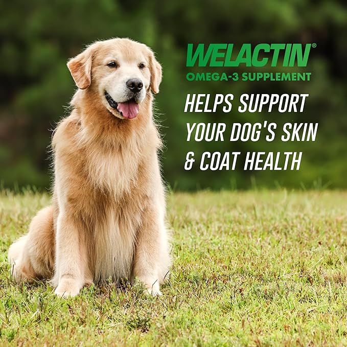 Nutramax Welactin Canine Softgels, Omega 3 Supplement for Dogs of all Sizes, Softgels, 120 Count