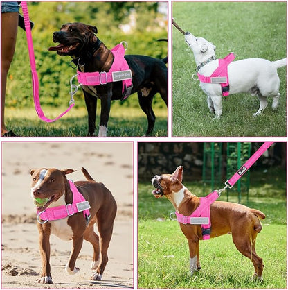 Lukovee No Pull Dog Harness & Leash Set - Heavy Duty Dog Vest Harness with Soft Padded for Medium Large Dogs, Adjustable Reflective Tactical Pet Harness for Easy Walk and Training (M, FU)