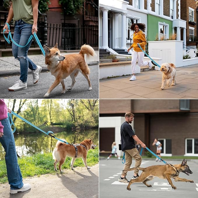 6 Foot Blue Dog Leashes for Large Medium and Small Breed Dogs That Pull,Reflective Nylon Heavy Duty Dog Leash with 2 Comfortable Padded Traffic Handles and Car Seat Belt for Walking and Training