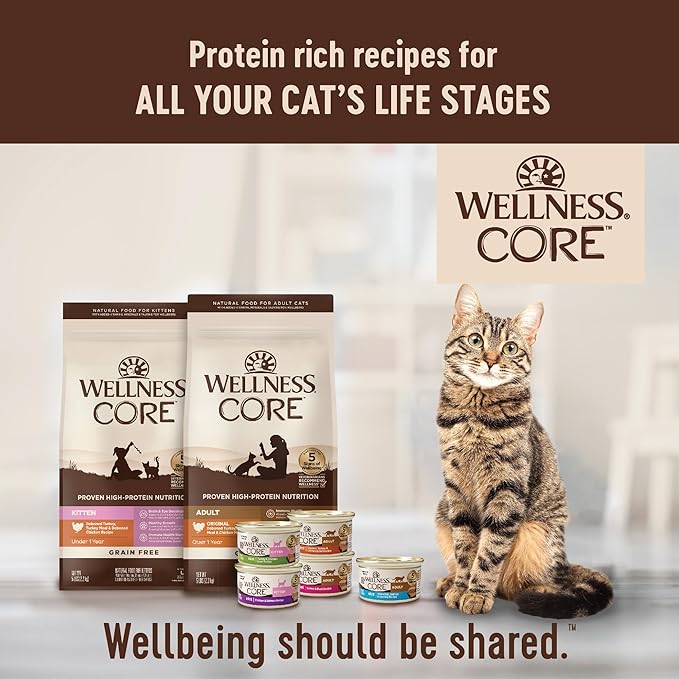 Wellness CORE Signature Selects Shredded Adult Wet Cat Food, Natural, Protein-Rich, Grain Free, 5.3 Ounce, 12 Pack (Chicken & Beef Entree)