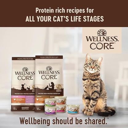 Wellness CORE Signature Selects Flaked Adult Wet Cat Food, Natural, Protein-Rich, Grain Free, 2.8 Ounce, 12 Pack (Skipjack Tuna & Shrimp)