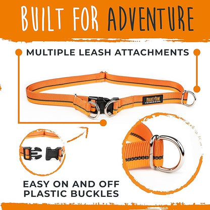 Mighty Paw Hands Free Dog Leash | Bungee Waist Leash for Dog Walking. Pet Running Hands Free Tether for Large, Medium & Small Breeds. Pet Waist Belt (36" - 48") Up to 150 lbs - Orange