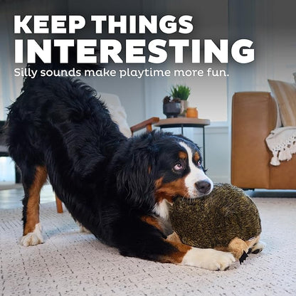 Outward Hound Hedgehogz Stuffed Dog Toy – Soft Plush Hedgehog, Grunts & Squeaks, XL, 12" x 8.5" x 9"