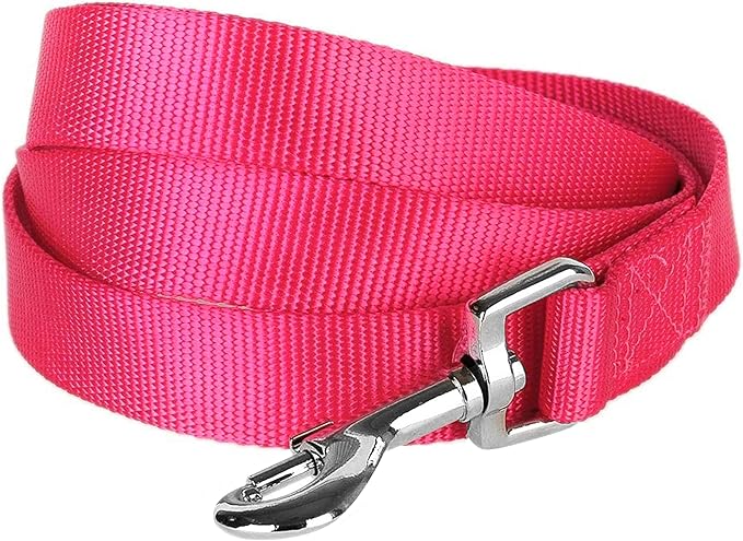 Blueberry Pet Essentials French Pink Dog Leash for X-Small -5' * 3/8" Dogs | Heavy Duty Nylon Lead | Lightweight Puppy & Cat Leash for Walking & Training