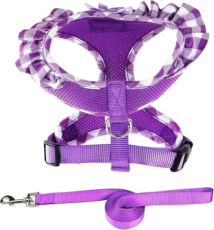SuperBuddy Upgraded Soft Mesh Dog Harness, Super Breathable Lightweight Pet Harnesses for Puppy Dogs Outdoor Walking, Purple Dog Harness and Dog Leash Set Packing -Large