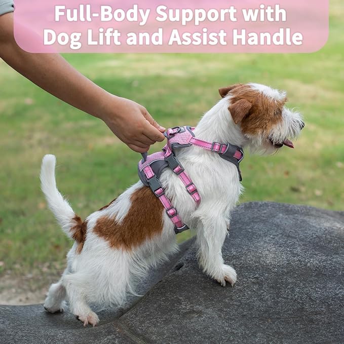 Huntboo Reflective Dog Harness with Handle, Escape Proof, No Slip, Breathable, Lightweight, Adjustable Lift Harness for Small, Medium, and Large Dogs Walking, Training, and Running Gear(Light Pink,XS)