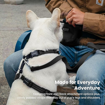 Wildebeest Valencia No Pull Dog Harness | Front and Back Leash Clips | Soft Padded Straps | Lightweight, Adjustable, Easy On/Off for Training and Dog Walking | X-Small Black