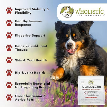 Wholistic Pet Organics - Hip and Joint Supplement for Dogs & Cats - Cat and Dog Joint Supplement - Green Lipped Mussels, Glucosamine, Chondroitin for Dogs & Cat Mobility Support - 4 Lb - 181 Scoops