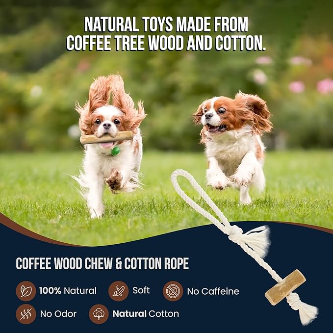 4 Pack Real Coffee Wood Stick for Dogs 15-40 lbs, Puppy Teething Toys, 100% Natural Puppy Wood Chew Toys, Stress Relief - Woodden Bones for Dogs - Natural Rope Toys