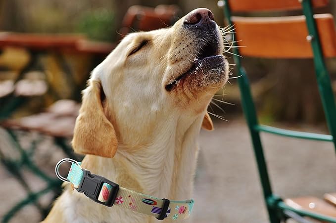 Dog Collar, Cute Holiday in Beach Pattern, Soft and Adjustable Collar with Quick Release Buckle (L (Neck 16-28", Width 1"), Beach Green)