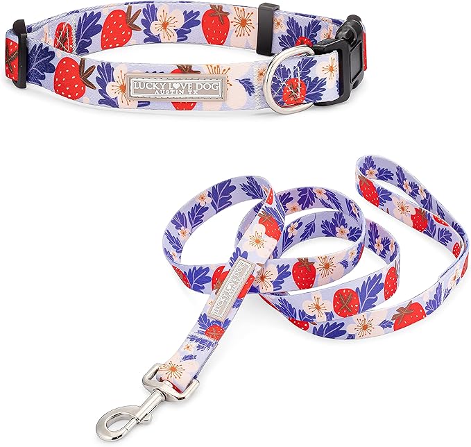 Lucky Love Dog - Easy Click Buckle Dog Collar with Leash Set Combo, Durable & Comfortable for Male & Female Dogs, Pet Collar for Small Dogs, Secure Fit - Sweet Berry Combo, XS