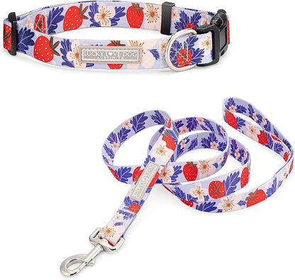 Lucky Love Dog - Easy Click Buckle Dog Collar with Leash Set Combo, Durable & Comfortable for Male & Female Dogs, Pet Collar for Small Dogs, Secure Fit - Sweet Berry Combo, XS