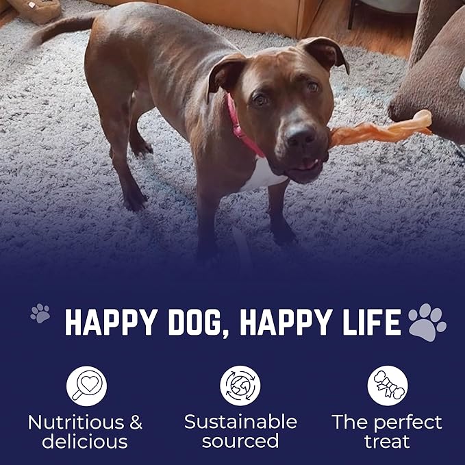 Devil Dog Pet Co. Jumbo Bully Sticks – 6 Inch, 6 Pack Dog Chews, 100% Natural Free-Range Grass-Fed Beef – Long Lasting, Rawhide-Free Treats for Dogs