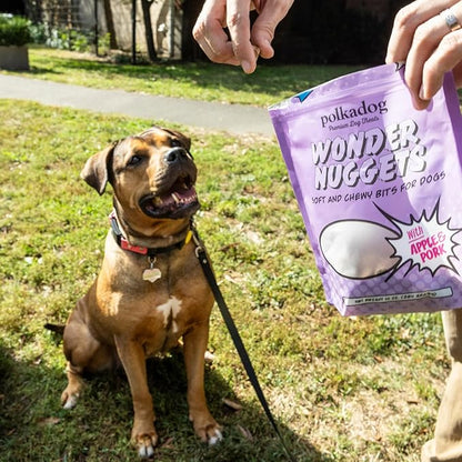 Polkadog Wonder Nuggets – Soft & Chewy Dog Treats with Pork & Apple – Healthy, Limited Ingredient Training Treats for All Dog Breeds and Ages – Natural, Made in USA – 10 oz