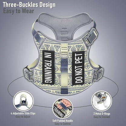 No-Pull Dog Harness for Small Breeds, Anti-Escape Walking Reflective Adjustable Lightweight Puppy Vest, Breathable Oxford Material, Easy On/Off With Neck Buckle, Gray XS