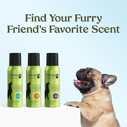 PAWFUME Dog Perfume Spray for Grooming, Blue Ribbon, 2-Pack – Keep Your Pup Fresh All Day – Probiotic, Alcohol-Free, Detangling & Moisturizing – Salon-Quality Dog Spray Deodorizer Perfume
