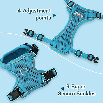 Small Dog Harness and Leash Set, Reflective Soft Breathable Mesh Vest, 3 Buckles, Adjustable Neck and Chest,Step in Dog Harness for Walking, Running, Training, Turquoise, XS