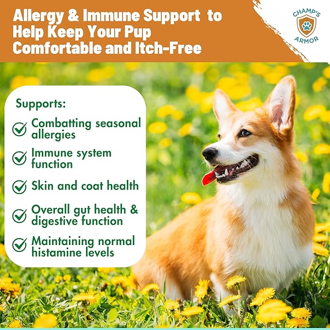 Allergy Relief for Dogs - Dog Itchy Skin & Dog Skin Allergies Treatment Chews with Natural Antihistamine, Colostrum, Salmon Oil, Probiotics for Seasonal Allergies Dogs - 120 Beef Flavor Soft Chews