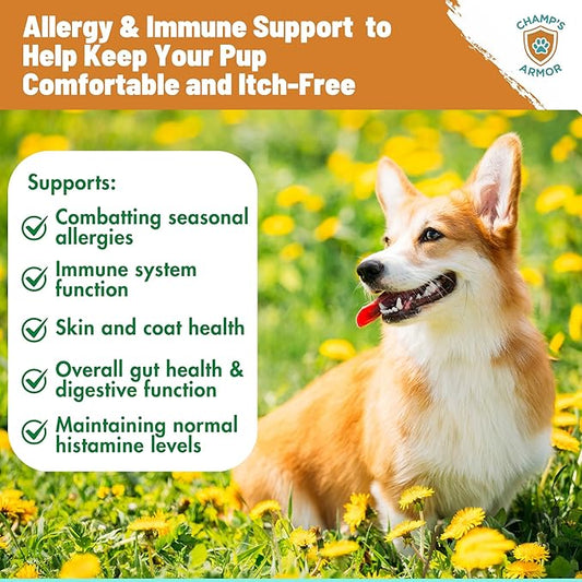 Allergy Relief for Dogs - Dog Itchy Skin & Dog Skin Allergies Treatment Chews with Natural Antihistamine, Colostrum, Salmon Oil, Probiotics for Seasonal Allergies Dogs - 120 Beef Flavor Soft Chews