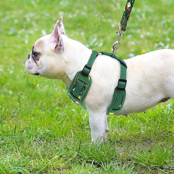 PUPTECK Christmas Small Dog Harness and Leash Set, No Pull Adjustable Puppy Cat Harness, Reflective Soft Mesh Pet Vest Small Sized, Santa Claus, M